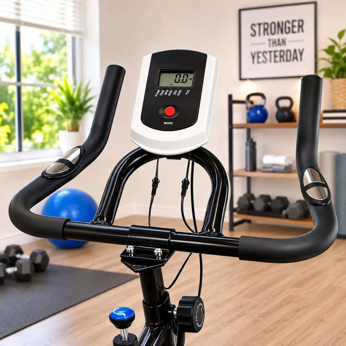 Stationary Exercise Bicycle Indoor Cycling Bike with Adjustable Resistance LCD Monitor and Comfortable Seat for Home Gym Cardio Training Fitness Workout